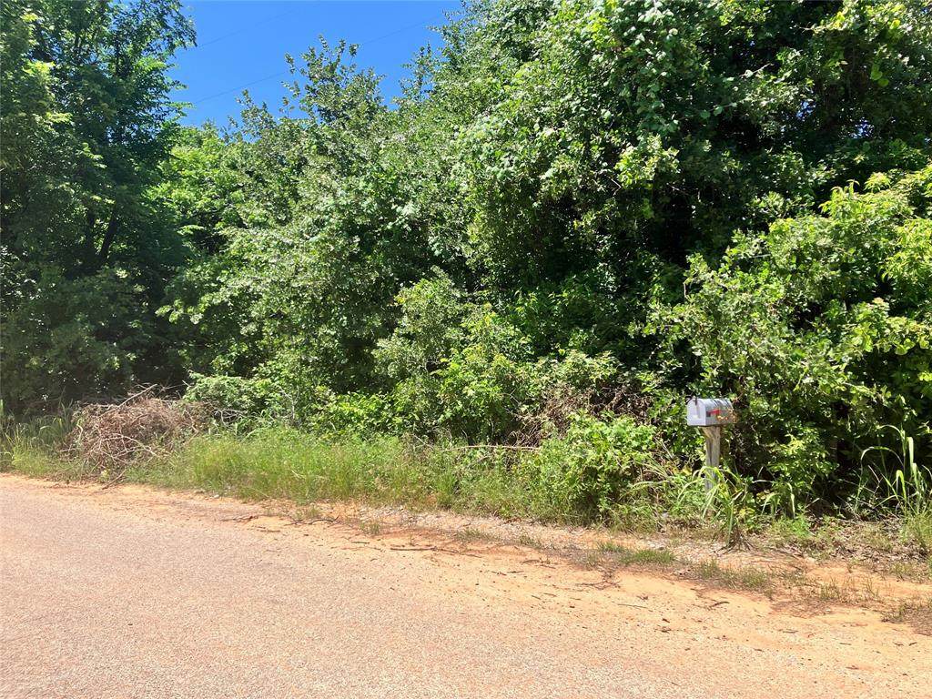 600 Shady Hill Lane - Photo 1