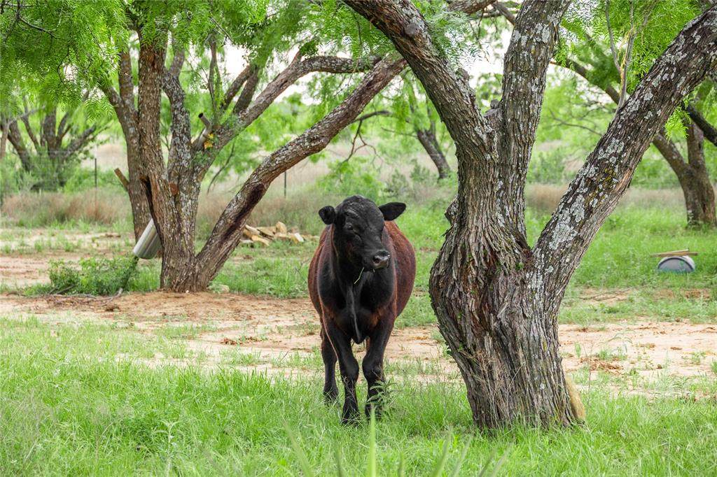 5088 Us-67 - Photo 1