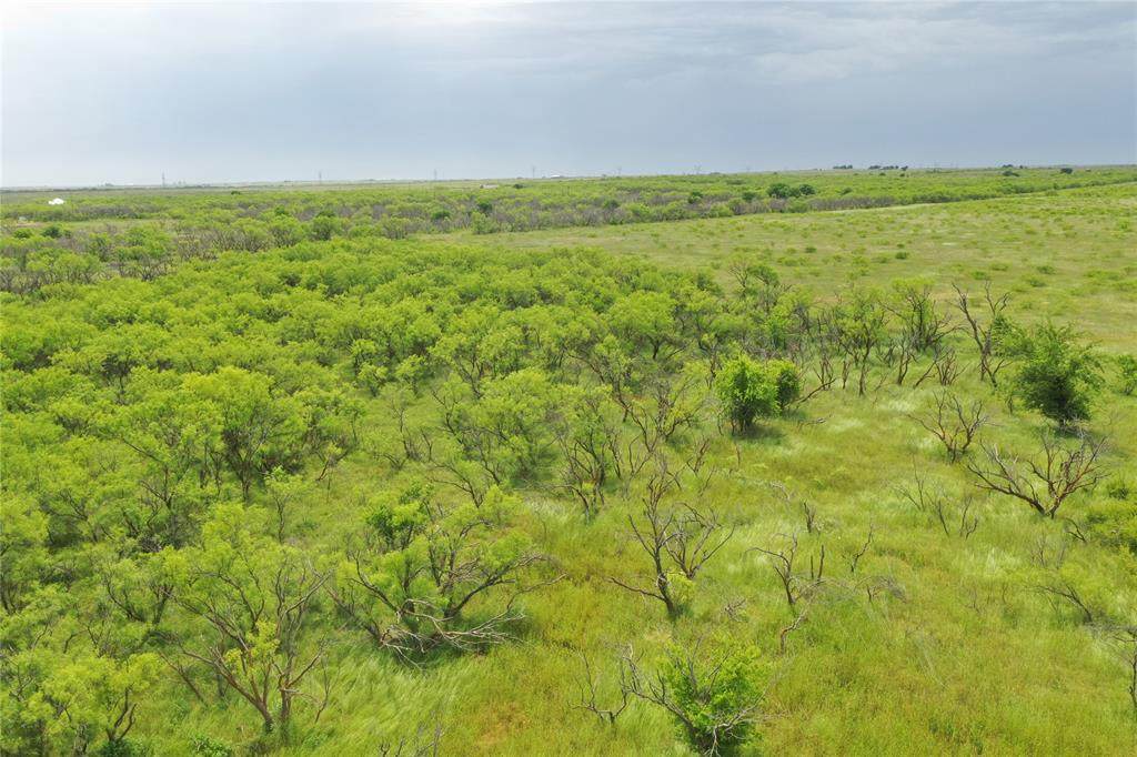 TBD Fm 2321 Tract 2 - Photo 1