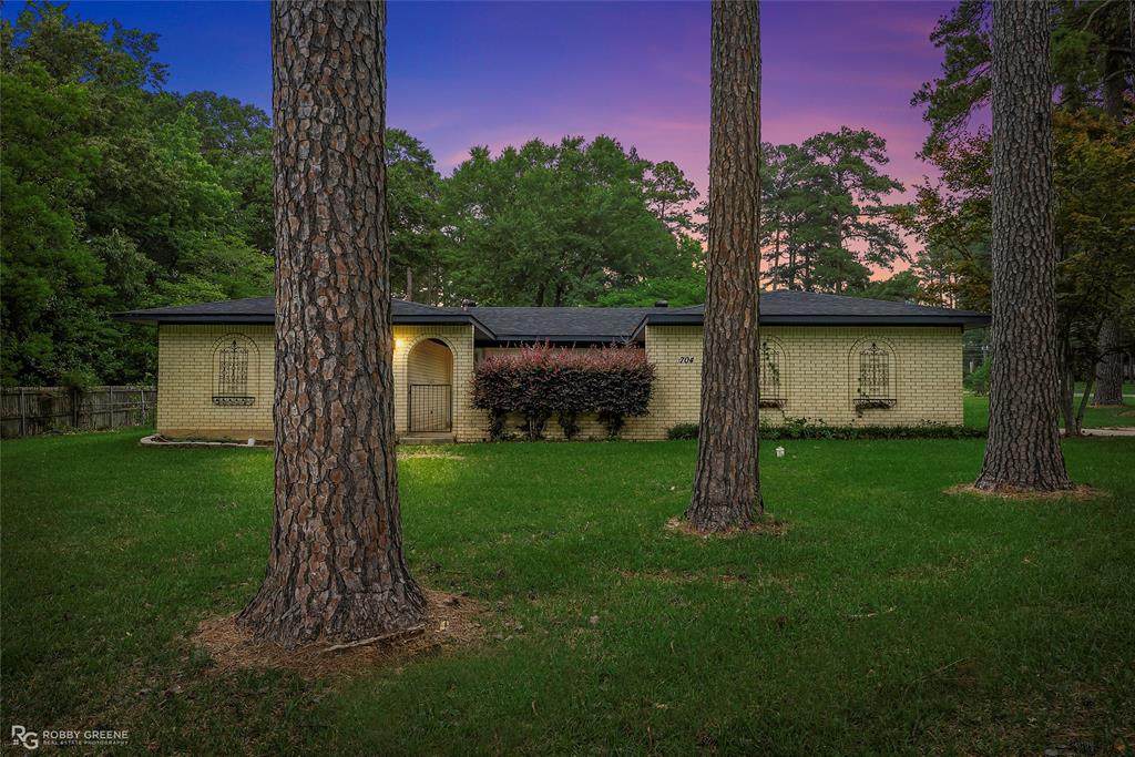 704 Taylor Bend Street - Photo 1
