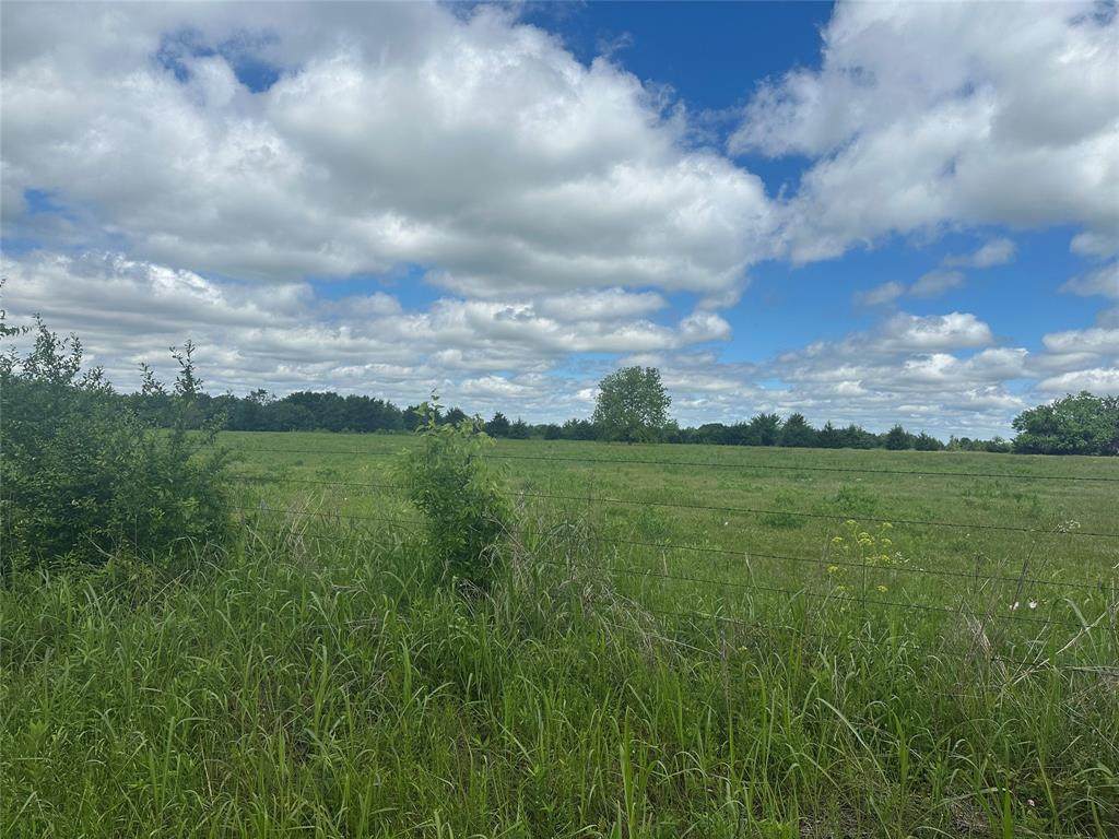 Lot 10 County Road 1400 - Photo 1