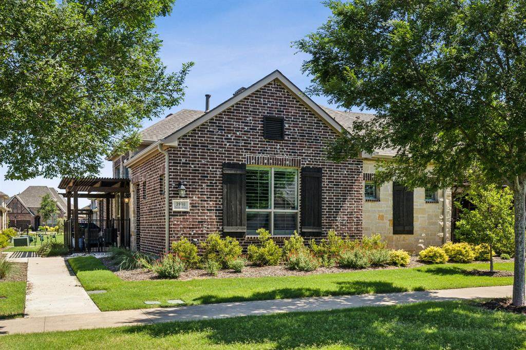 3900 Dalea Drive - Photo 1