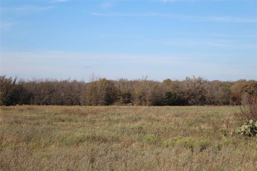 12555 Us 281 Highway - Photo 1