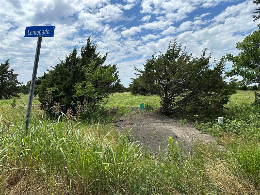 Lot 7 Lemonade Ln. - Photo 1