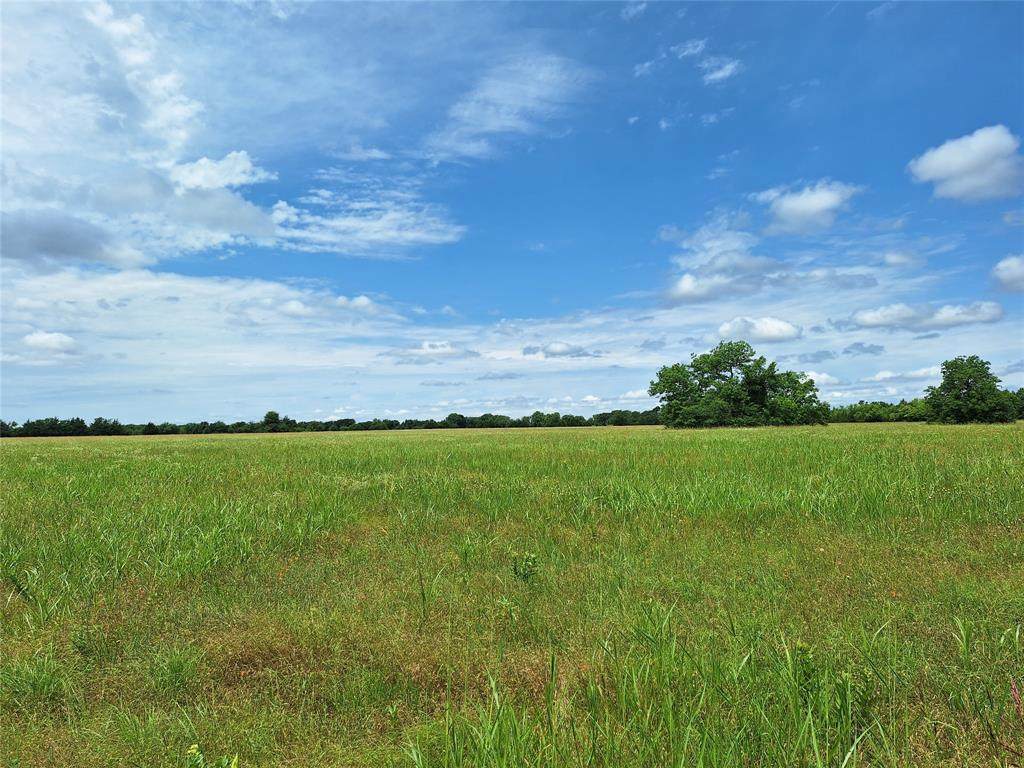 2403 County Road 3210 - Photo 1
