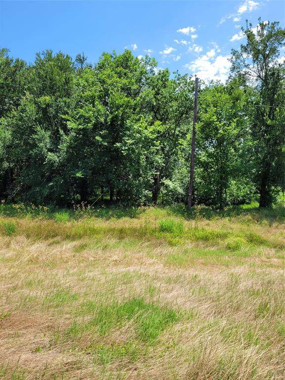 1175 Loop 286 Loop - Photo 1