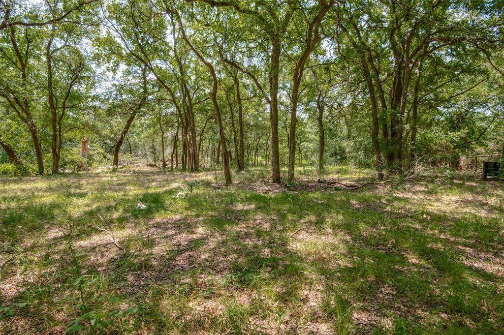 6085 Autumn Breeze Circle - Photo 1