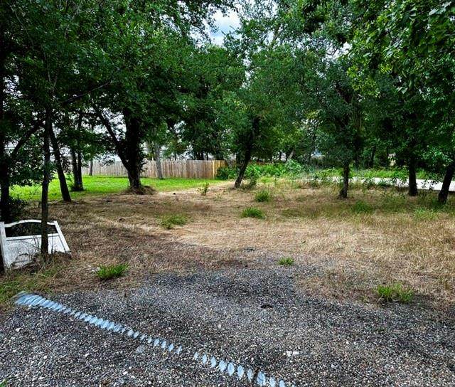 4308 Cornelia Street - Photo 1