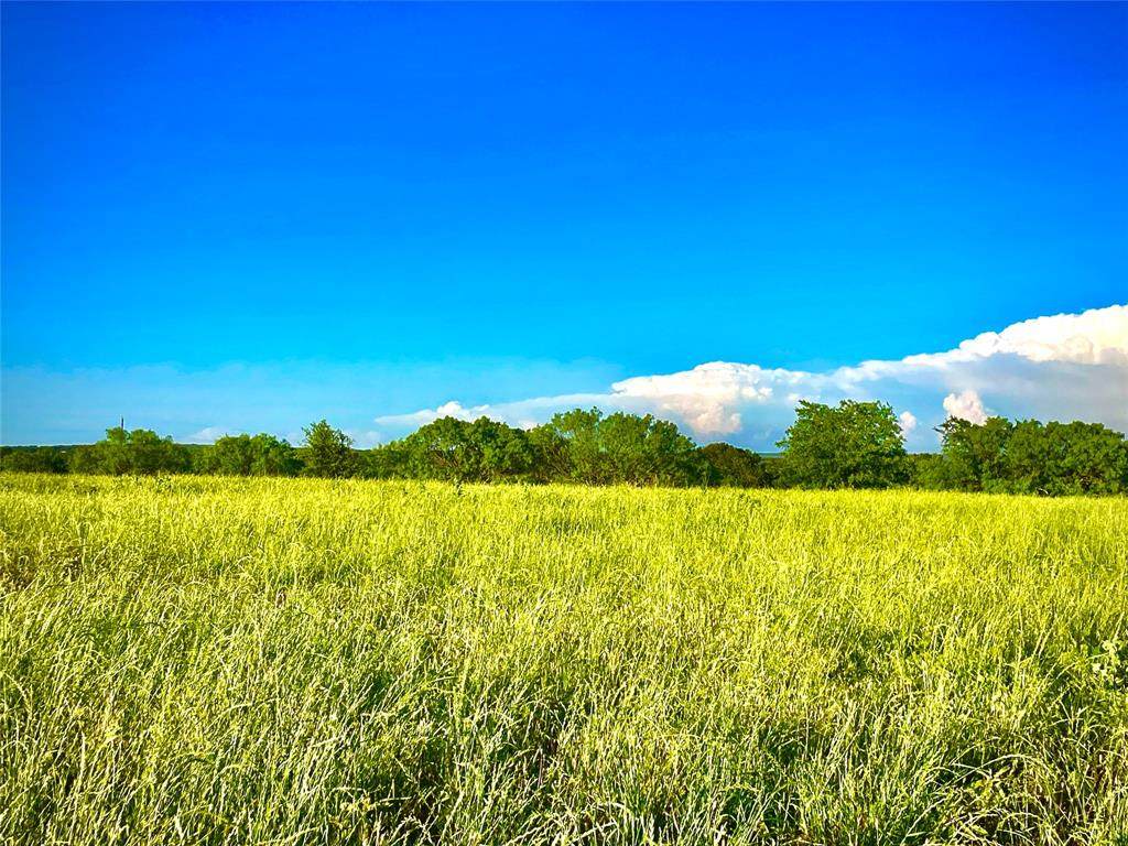 https://bt-photos.global.ssl.fastly.net/ntreis/orig_boomver_1_20965175-2.jpg