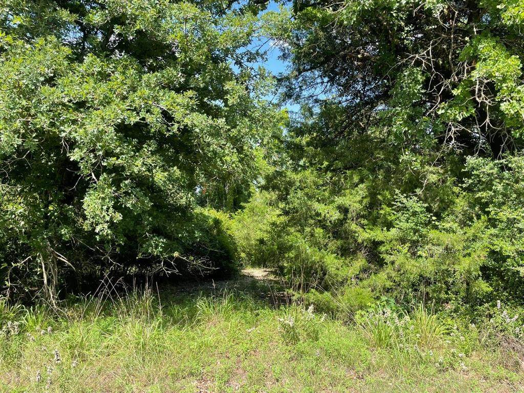 TBD 794 - Photo 1