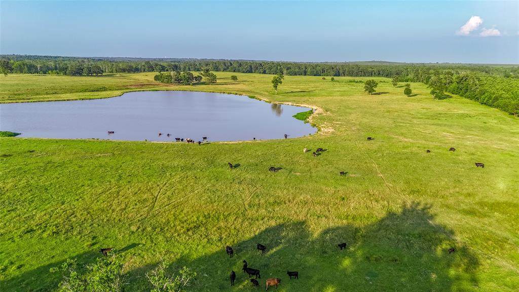 9759 Texas Highway 155 - Photo 1