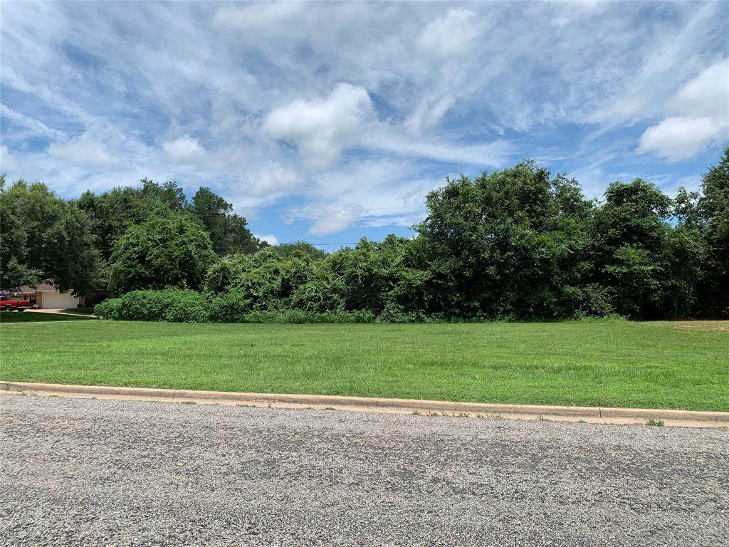 1001 Rico Drive - Photo 1