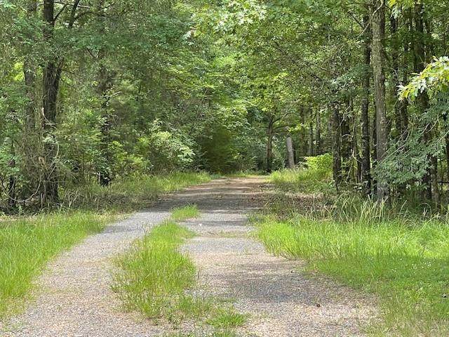 9660 Labonne Terre Drive - Photo 1