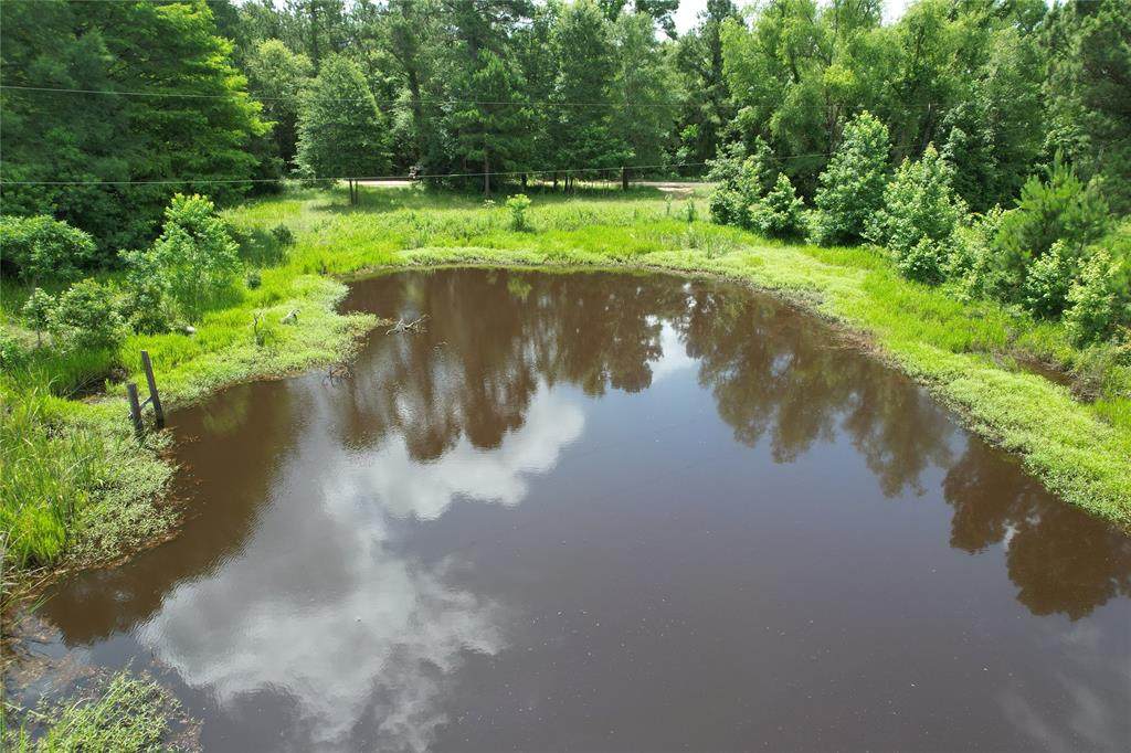 18.17 acres Cr 1190 - Photo 1
