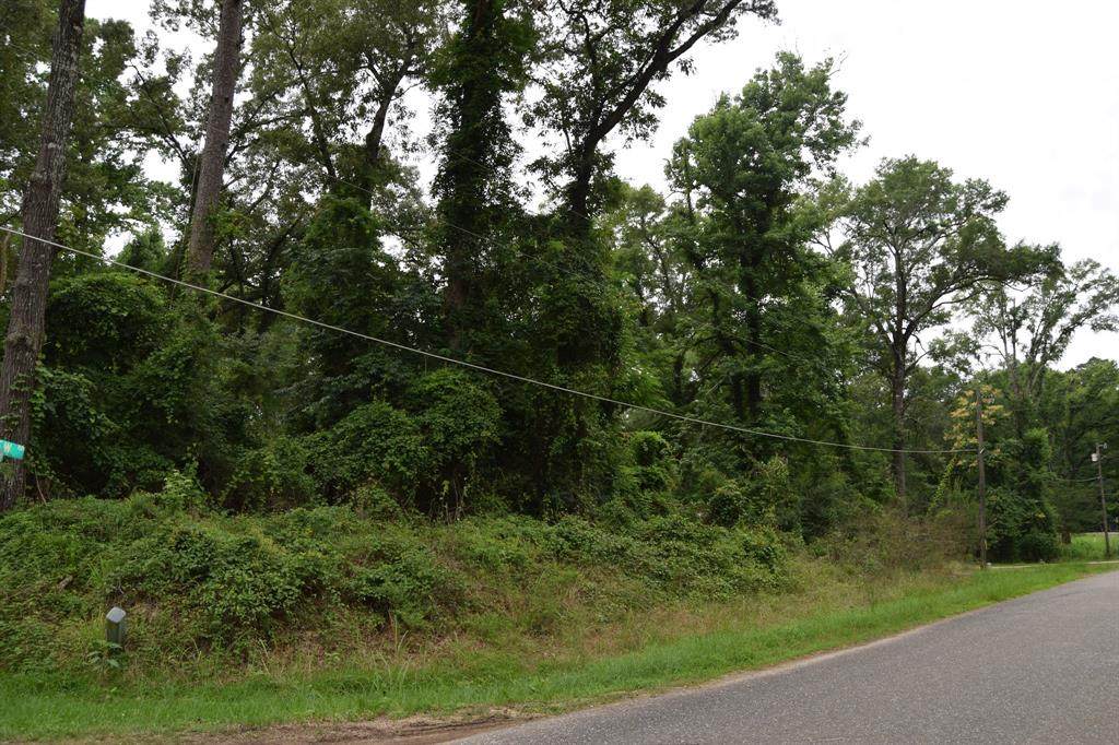 #1 Palmetto Drive - Photo 1