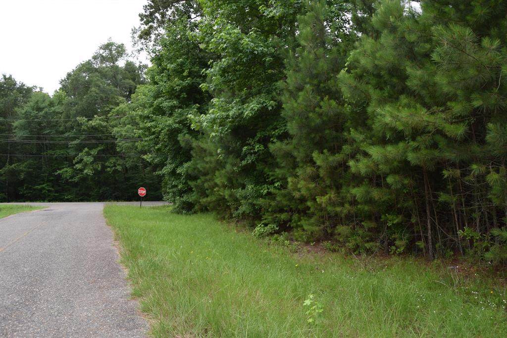 208 Palmetto Drive - Photo 1