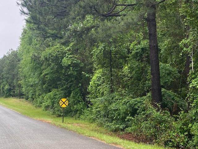0 Isaac Creek Road - Photo 1