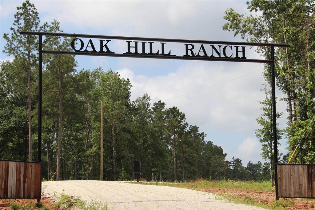 Tract 8 Oak Hill Trail - Photo 1