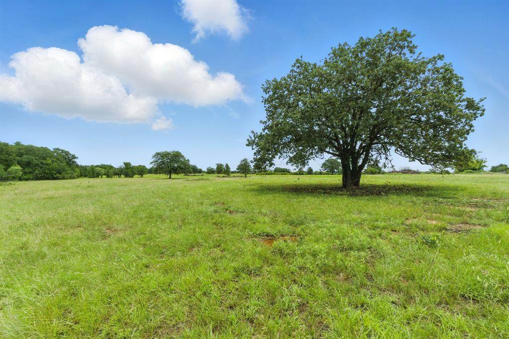 TBD County Road 275 - Photo 1