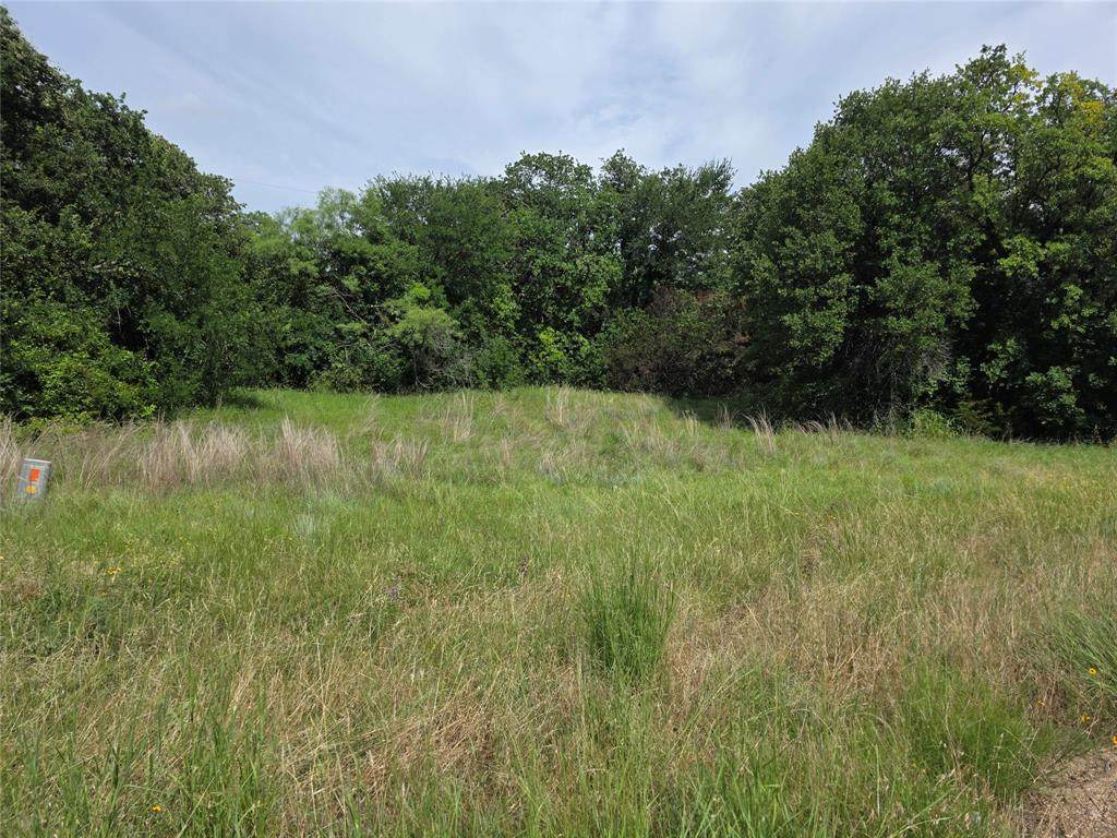 5735 Tin Top Highway - Photo 1