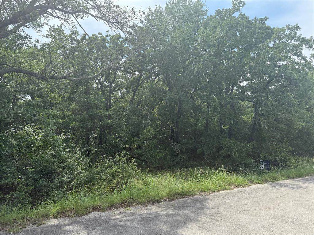 103 Timber Trail - Photo 1
