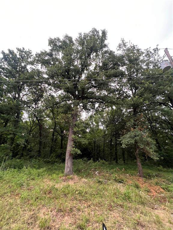 115 Inca Trail - Photo 1