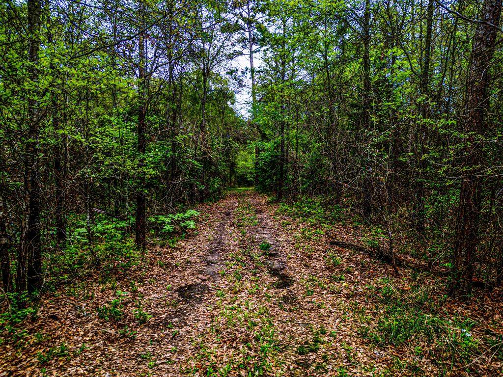 TBD Fm 1836 - Photo 1