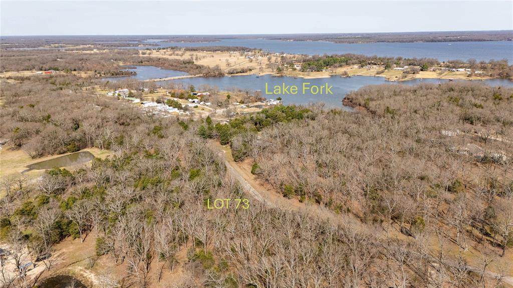 Lot 73 Rs County Road 3376 - Photo 1