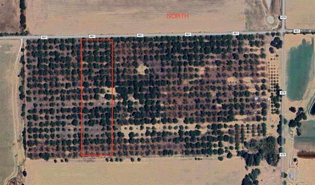 TBD County Road 461 - Photo 1
