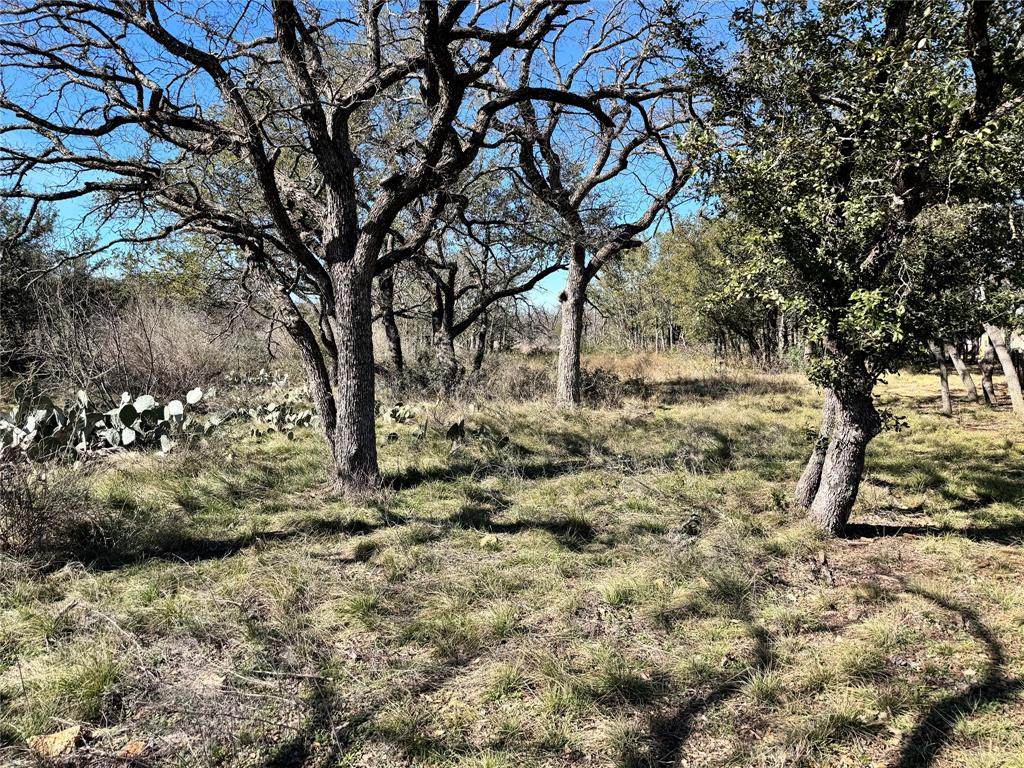 TBD Lot 240 Feather Bay Drive - Photo 1