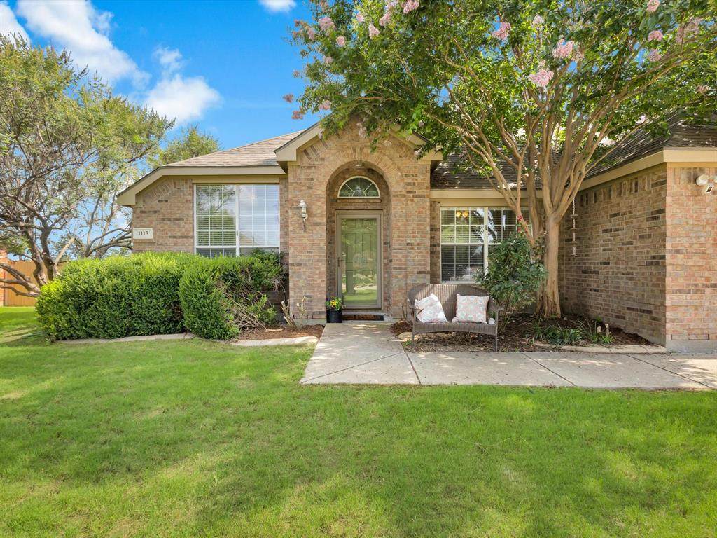 1113 Horn Toad Drive - Photo 1