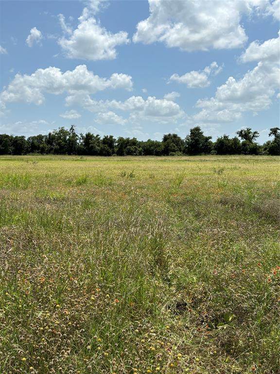 Lot 2 Chisholm Trail - Photo 1