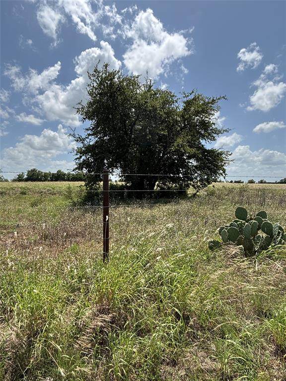 Lot 10 Chisholm Trail - Photo 1