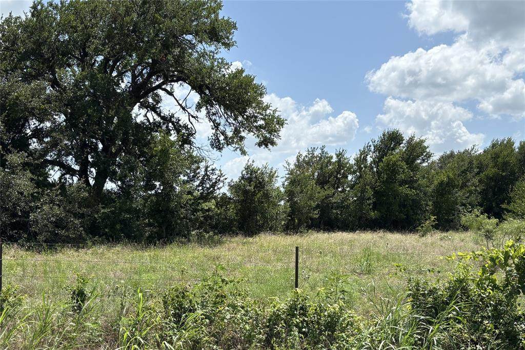Lot 13 Chisholm Trail - Photo 1