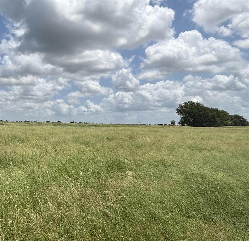 Lot 3 Old Patton Road - Photo 1