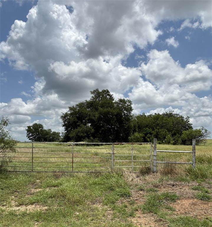 Lot 4 Old Patton Road - Photo 1