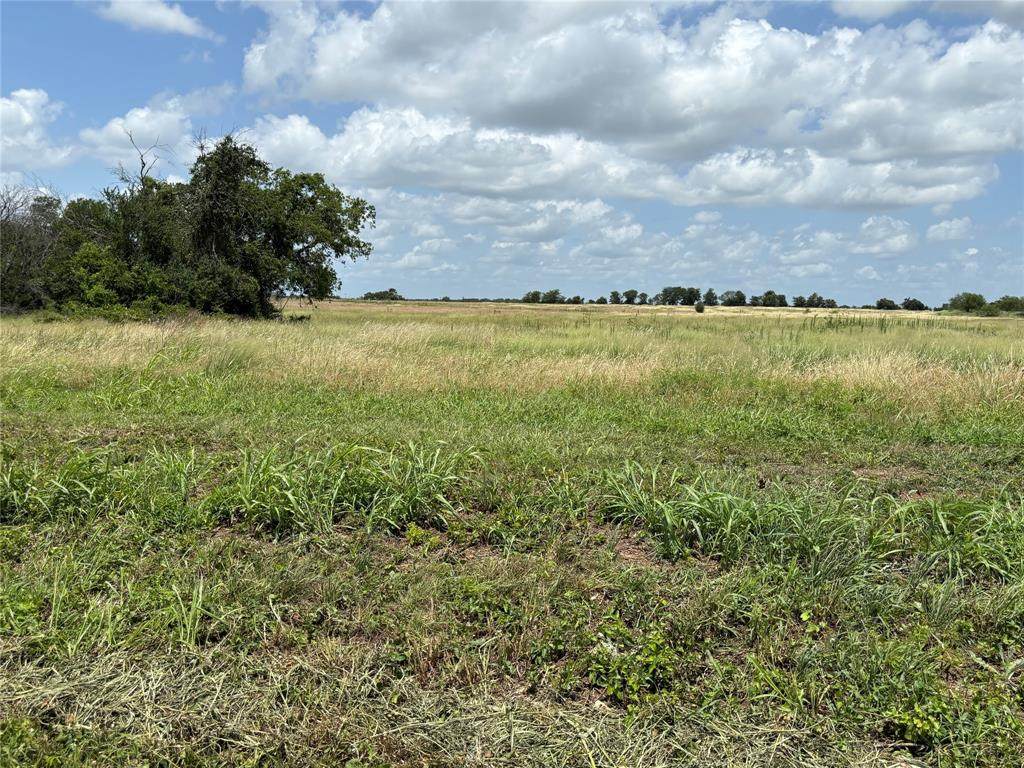 Tract 2 Patton Road - Photo 1