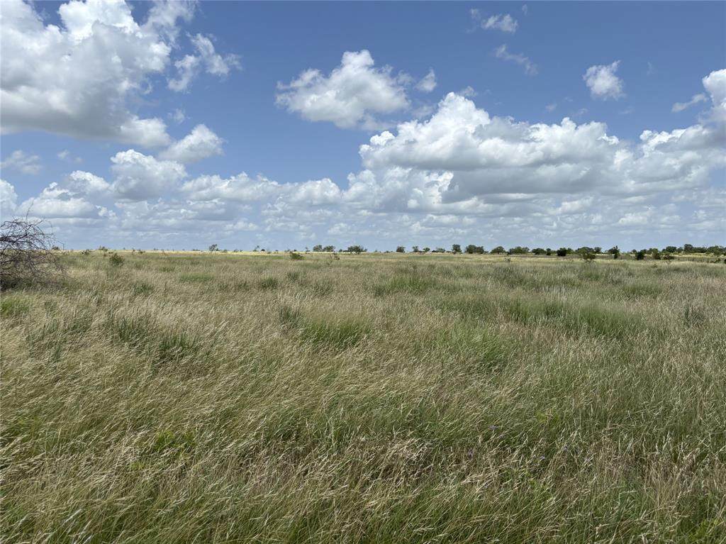 Tract 6 Patton Road - Photo 1