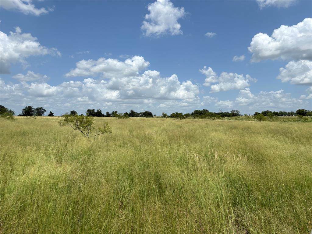 Tract 7 Patton Road - Photo 1