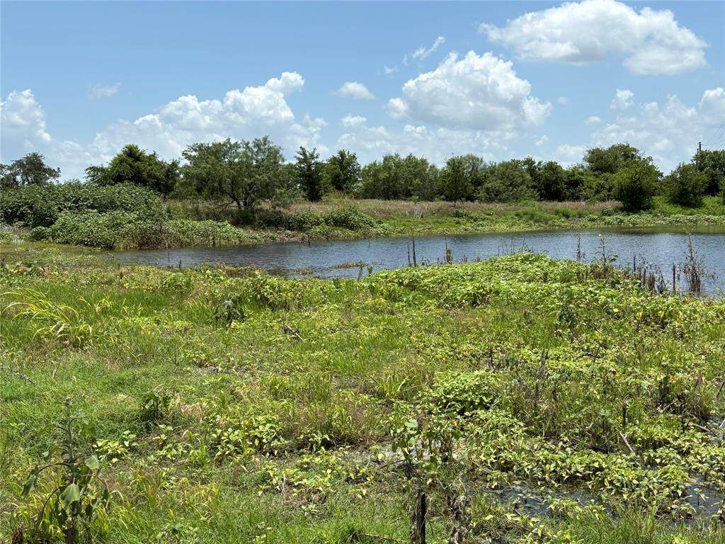 Tract 8 Patton Road - Photo 1