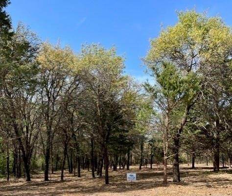 057 Blackjack Parkway - Photo 1