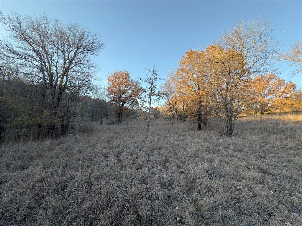 Lot 283 Cozy Cove Court - Photo 1