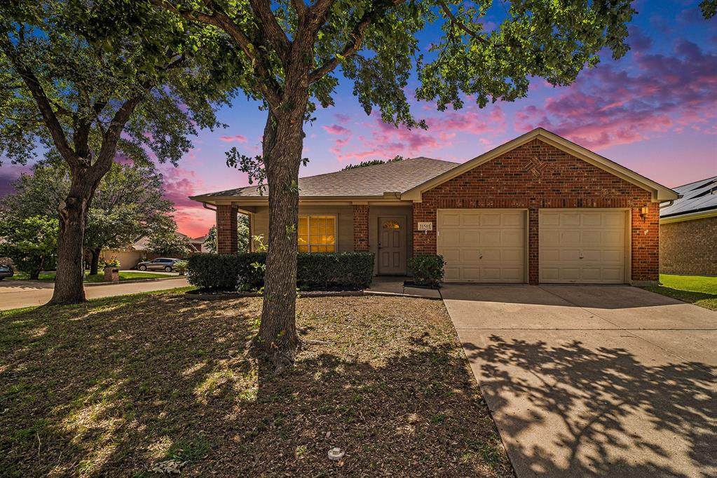 11501 Cactus Springs Drive - Photo 1