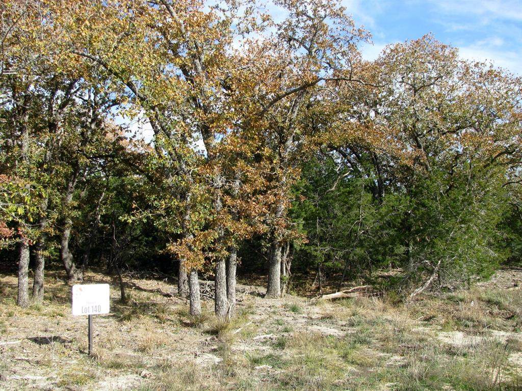 Lot 140 Ph 6 County Road 421 - Photo 1