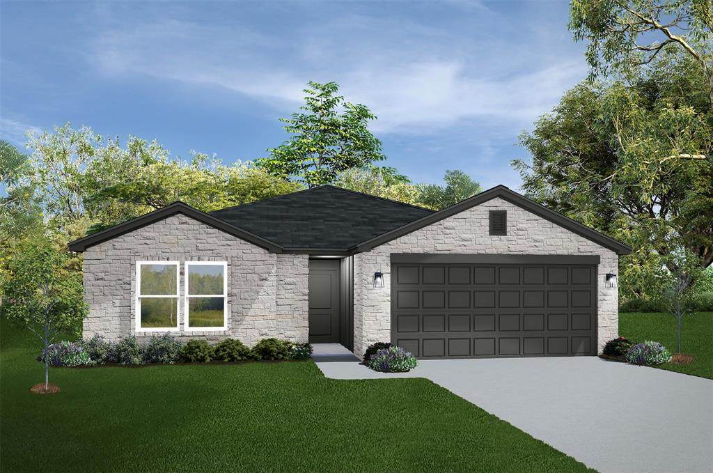 11425 Patera Street - Photo 1