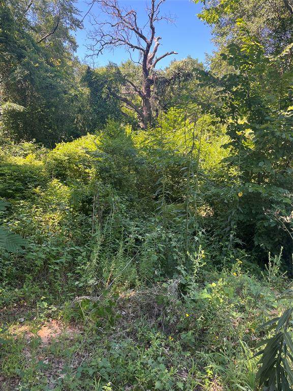 0 Ponderosa Drive - Photo 1
