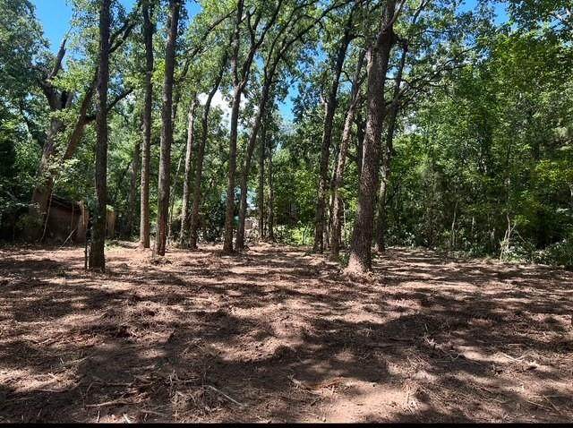 104 Red Bluff Loop - Photo 1