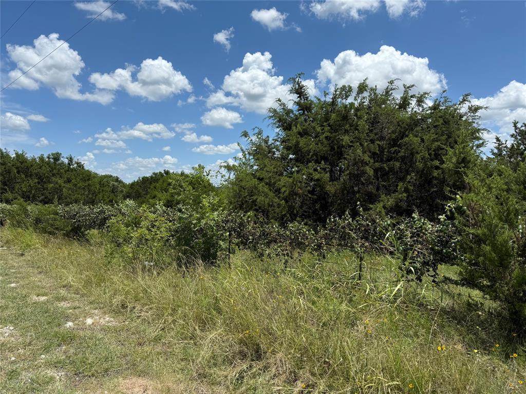 TBD Private Road 1743B - Photo 1