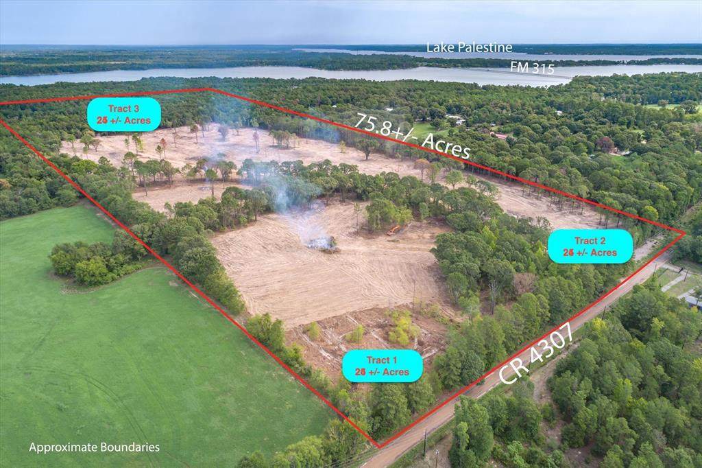 Tract 2 - TBD County Road 4307 - Photo 1