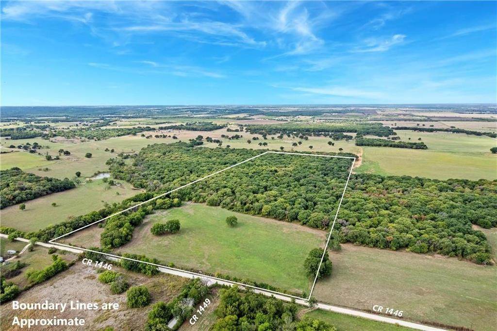 Tbd 45 Acres Hcr 1446 Road - Photo 1